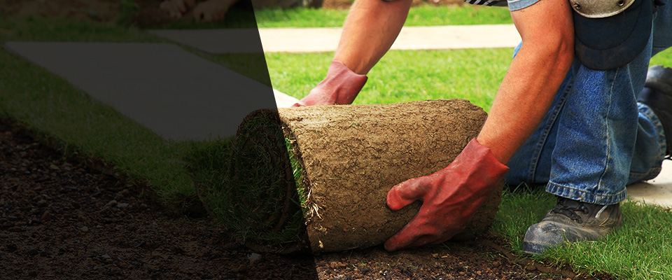 Port Allen Landscapers